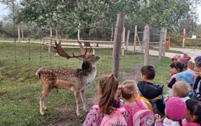 Állatok világnapja