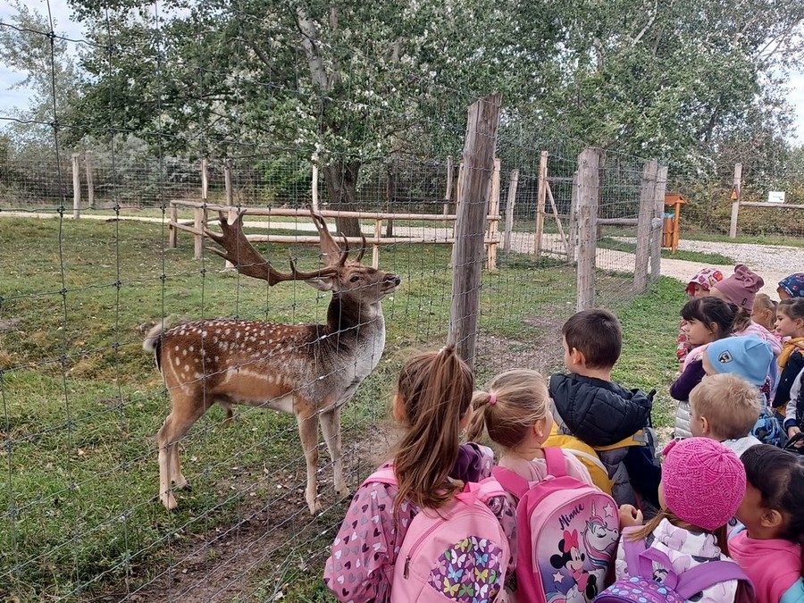 Állatok világnapja