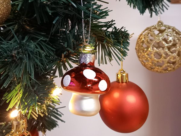 Gombácska szülők bálja