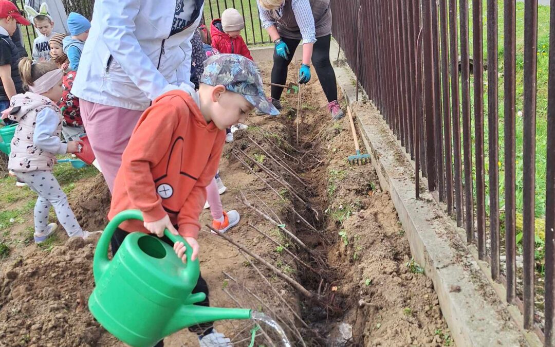 A Bóbita Óvoda nyerte a Tesco pályázatát