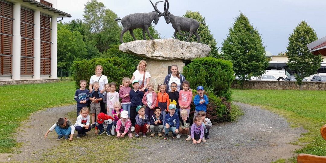 Kirándulnak a Katicák