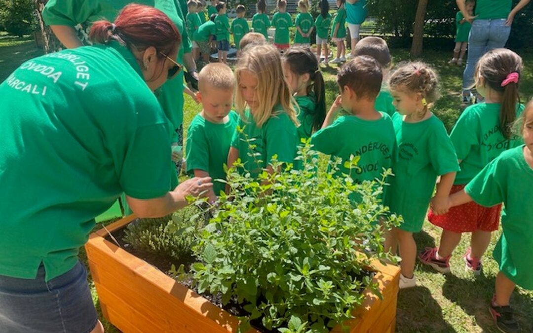 Zöldliget próba a Tündérligetben