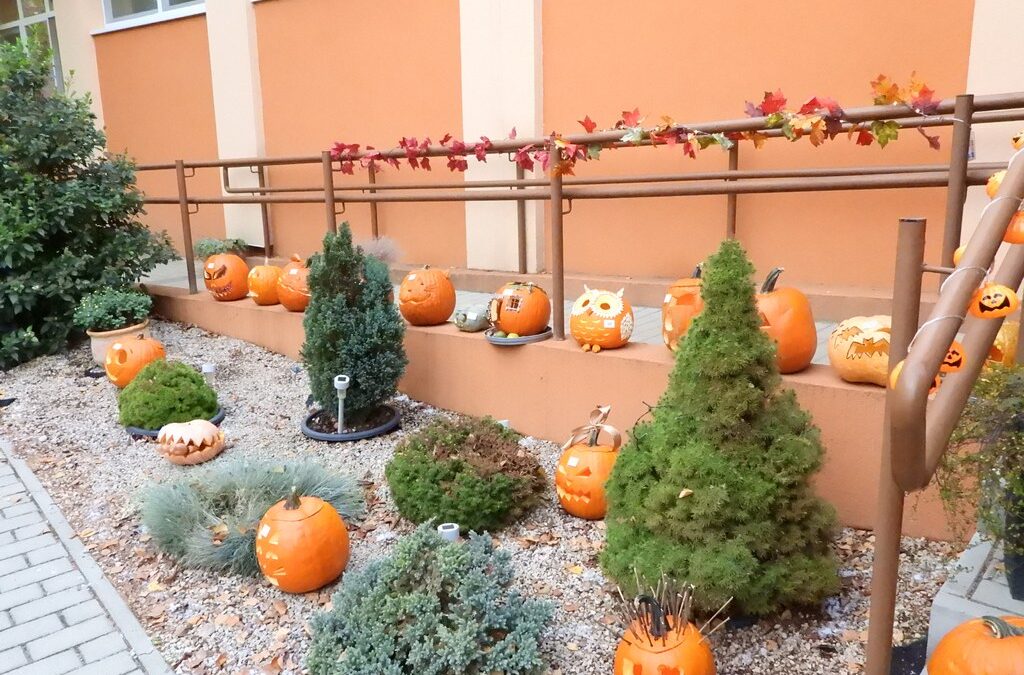 Tündérliget óvoda „Tök jó napja”