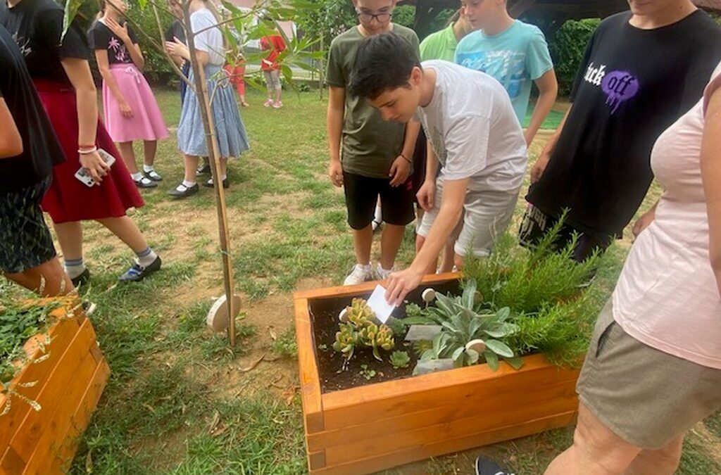 E.ON – “Föld Bajnokai” beszámoló