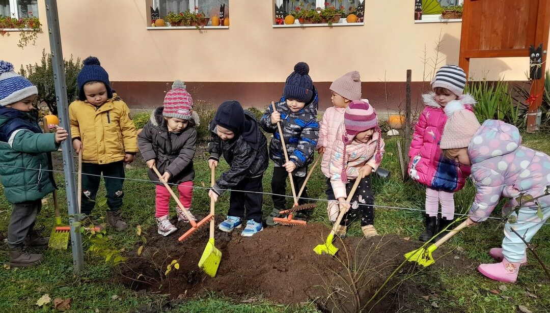 Novemberi pillanatok