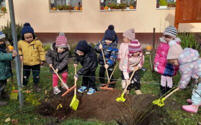 Novemberi pillanatok