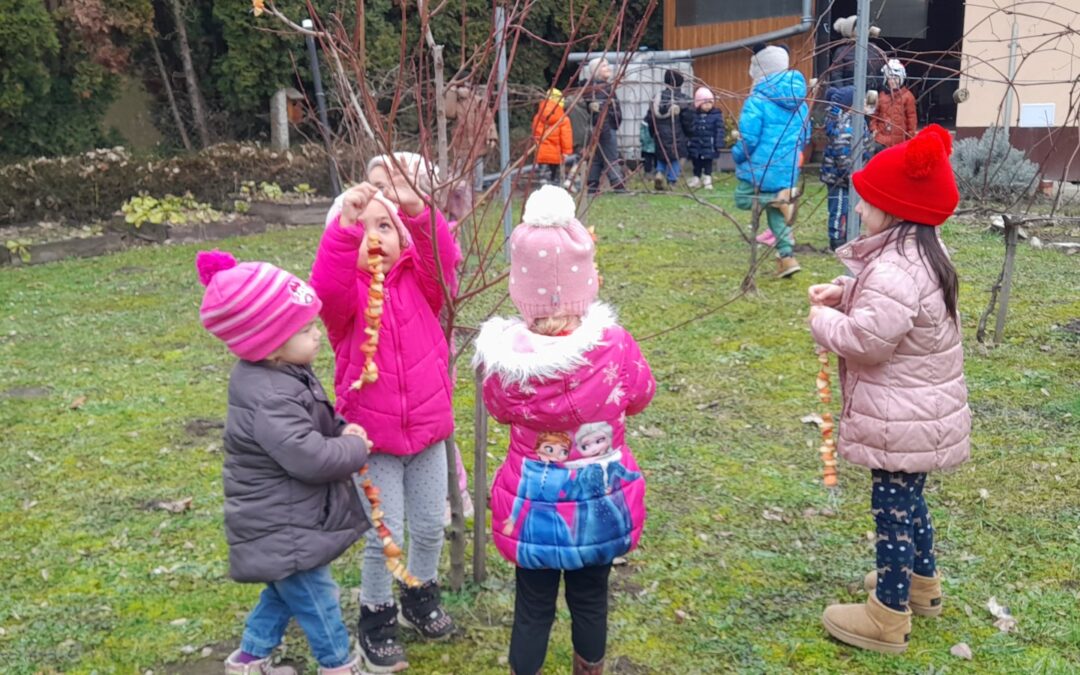 Madárkalács készítés és kreatív közlekedés