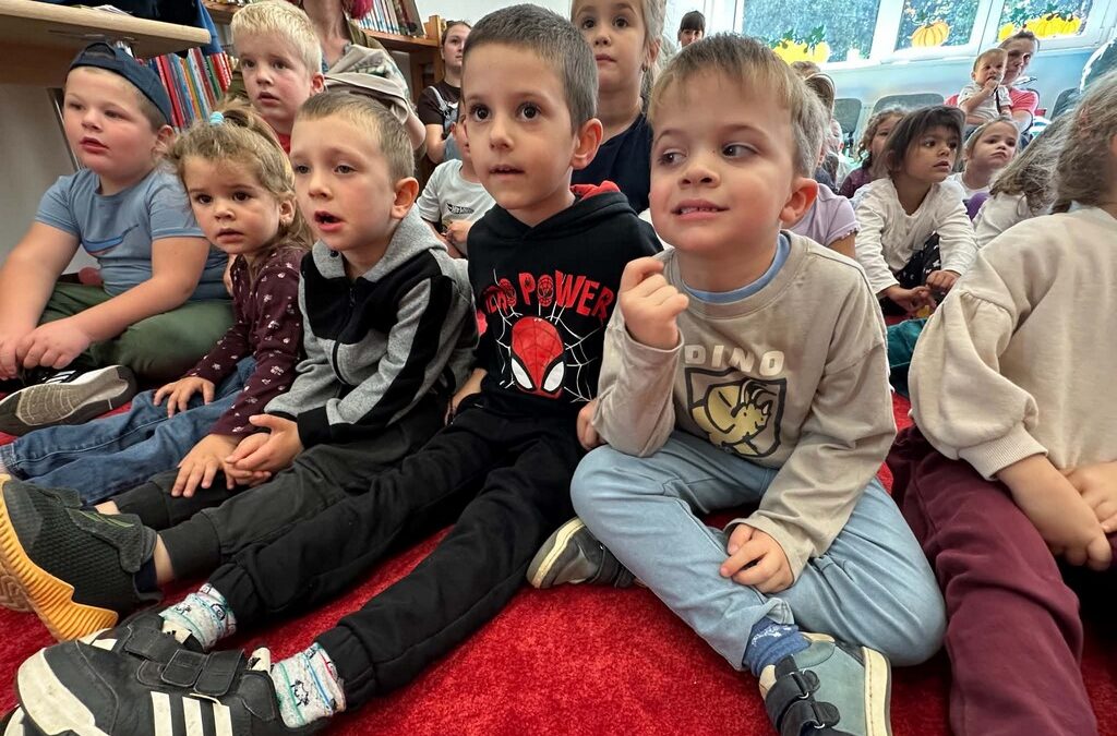 Ribizli Bohóc a könyvtában